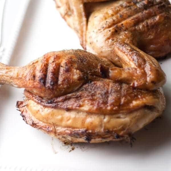 close up of grilled chicken halves being served