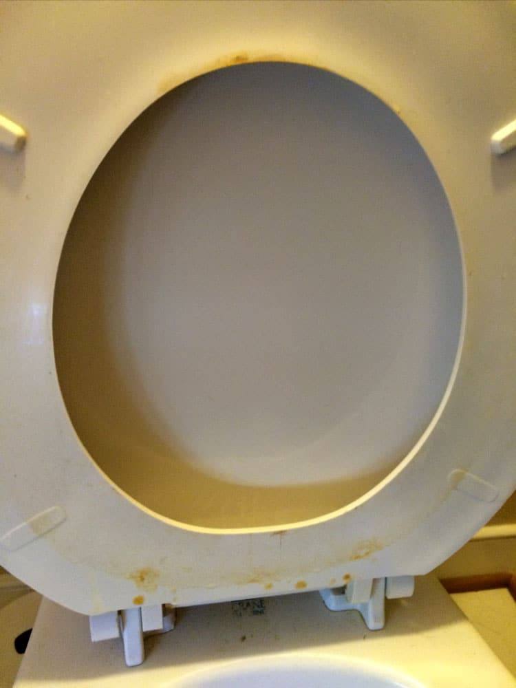 Underside of a raised toilet seat showing yellow and brown stains before cleaning
