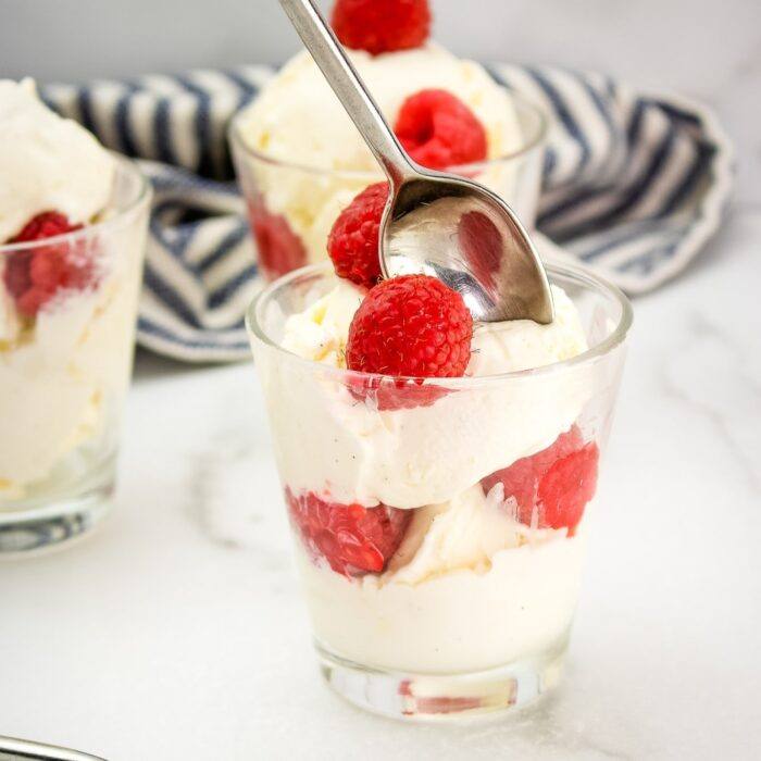 no churn vanilla bean ice cream