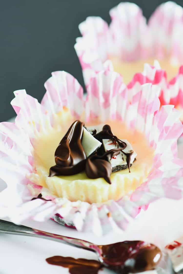These mini cheesecakes are an excellent idea for your upcoming holiday gatherings!