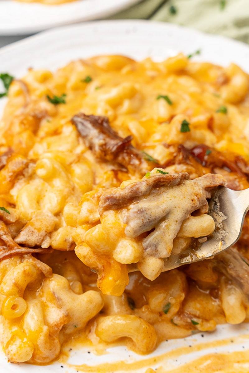 mac and cheese recipe pulled pork