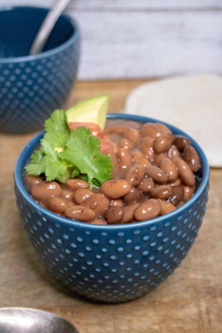 Slow Cooker Pinto Beans