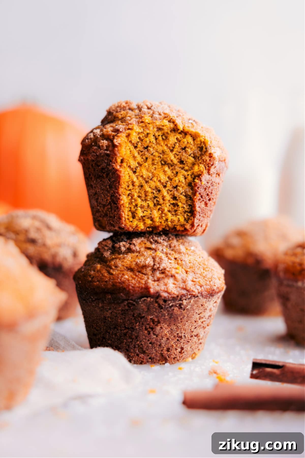 featured 10664