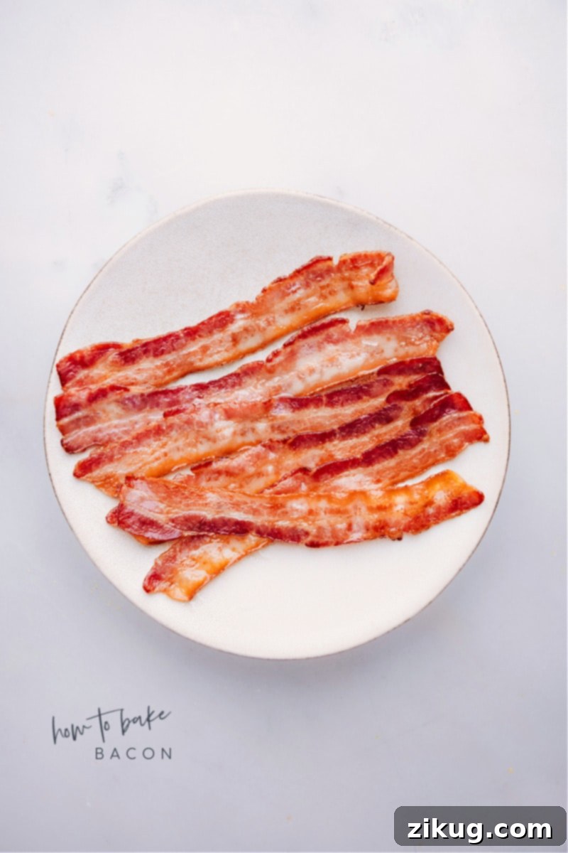 featured 137334
