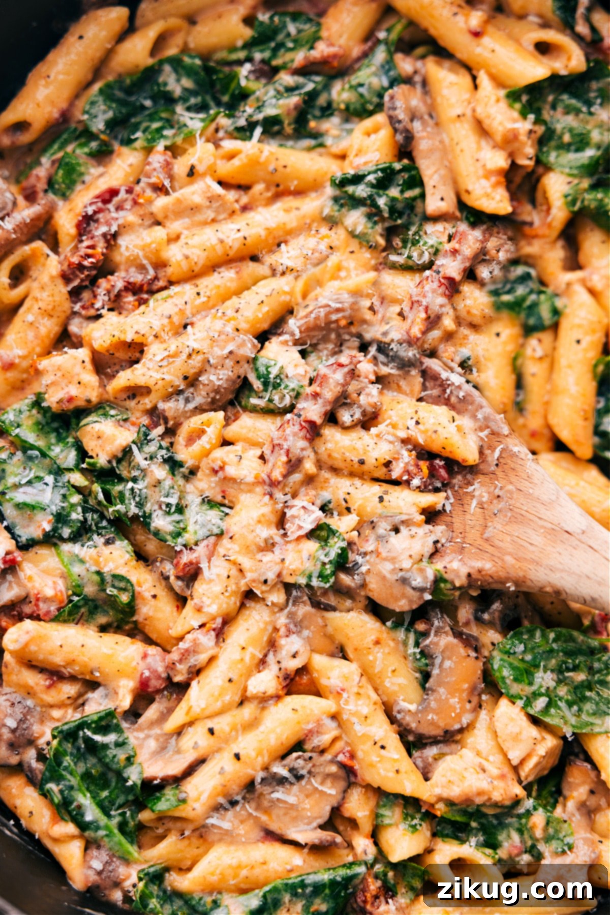 featured 3089