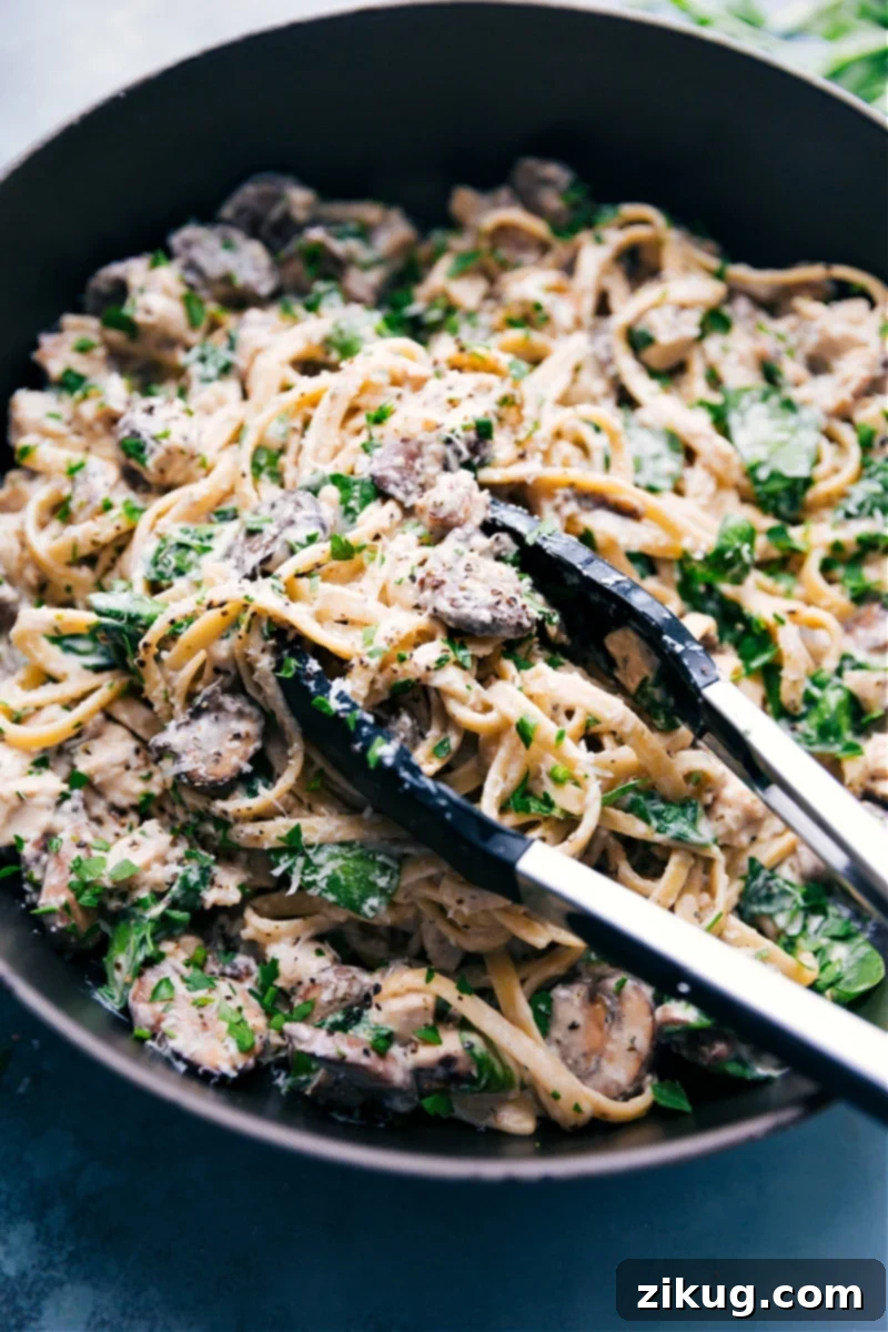 The Best Easy Creamy Chicken Pasta Recipe for Quick Weeknight Dinners A large skillet brimming with creamy chicken pasta, showcasing strands of fettuccine, generous pieces of chicken, golden-brown mushrooms, and wilted spinach, with a serving spoon poised to lift a delicious portion.