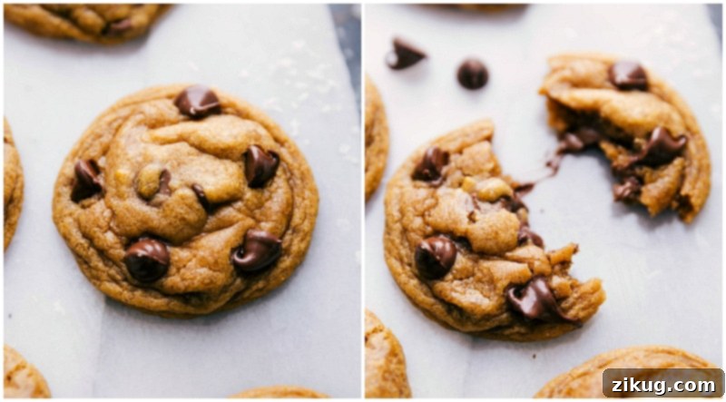 Warm Chocolate Chip Pumpkin Cookie: Crispy on the Outside, Soft on the Inside Freshly baked chocolate chip pumpkin cookies with one cookie split in half, revealing its soft interior.