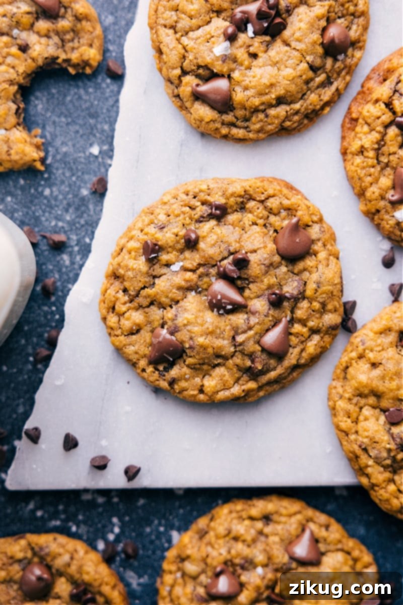 Overhead image of freshly baked Pumpkin Oatmeal Chocolate Chip Cookies on a cooling rack, showcasing their crisp edges and visible chocolate chips