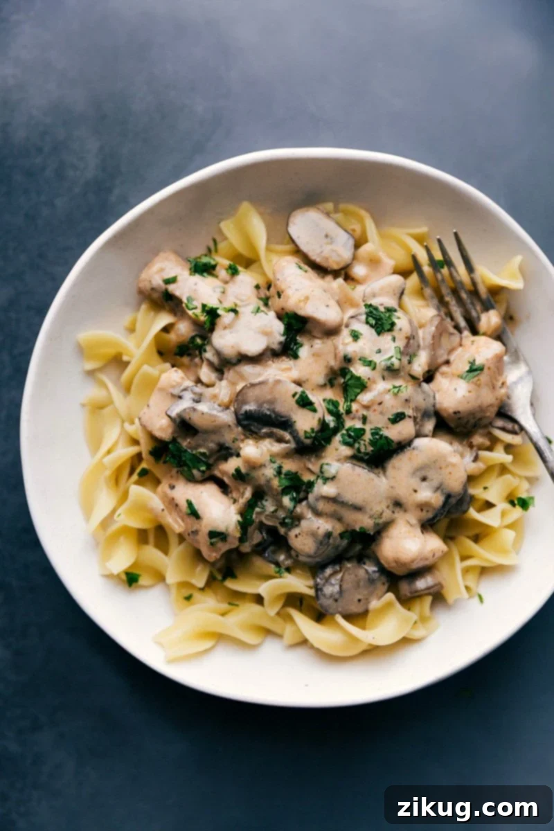 Creamy Chicken Stroganoff served over egg noodles, garnished with fresh parsley.