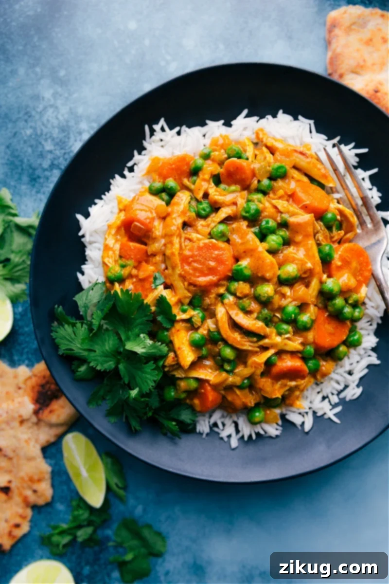 A serving of delicious Quick Chicken Curry on a bed of fluffy white rice, garnished with fresh cilantro.