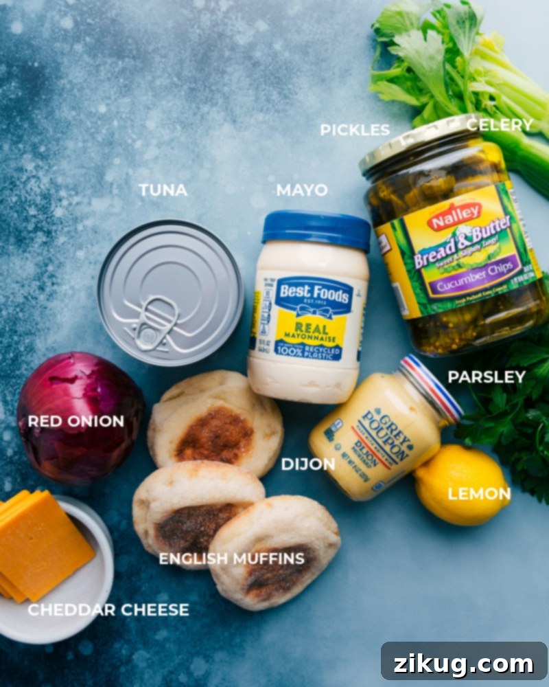 Ingredient shot--image of the ingredients in this dish Collection of fresh ingredients for tuna melts including canned tuna, mayo, pickles, celery, and English muffins