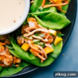 Crispy Asian Chicken Lettuce Wraps