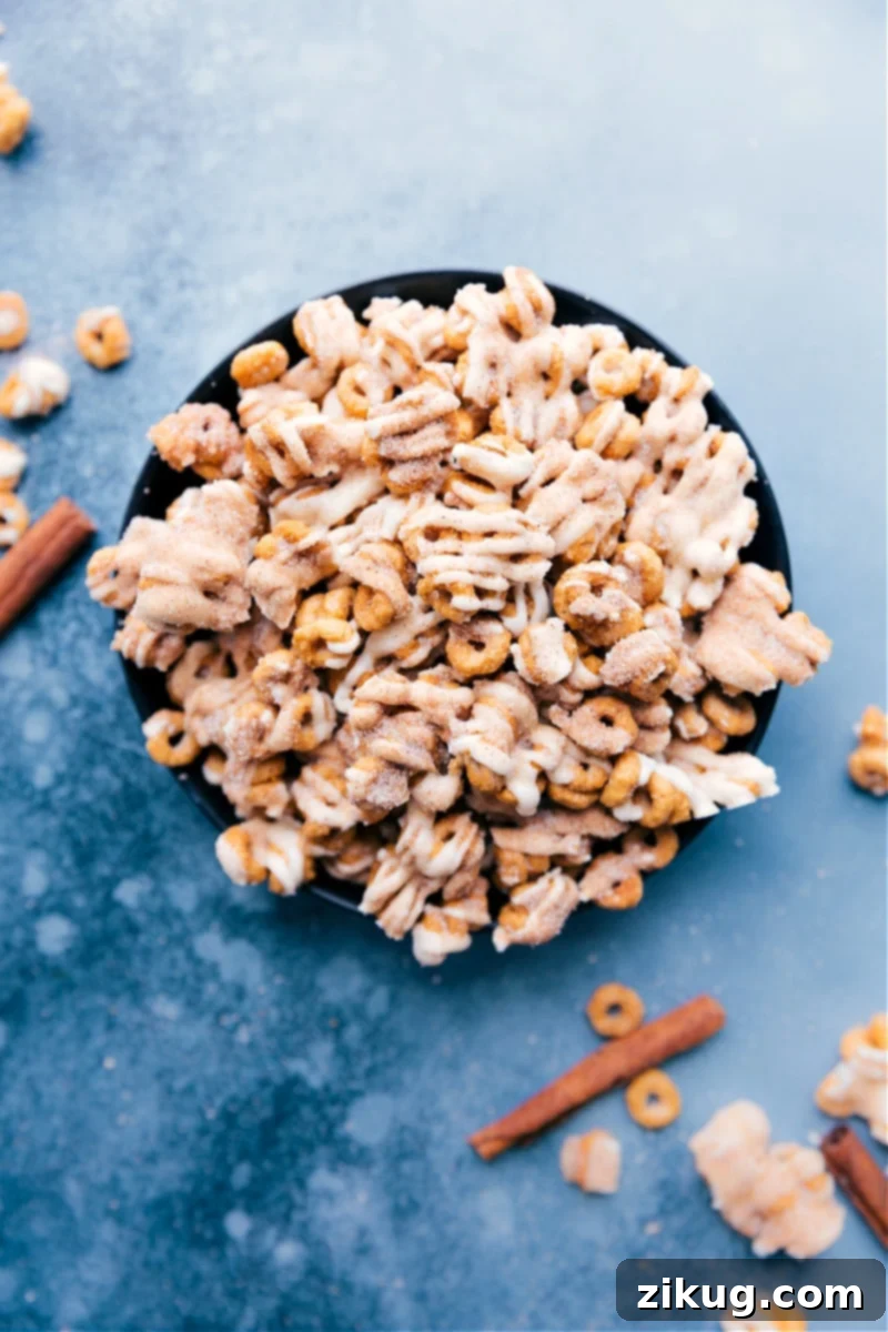 Overhead image of the Churro Cheerios, a delicious and easy-to-make sweet treat for kids and adults alike.