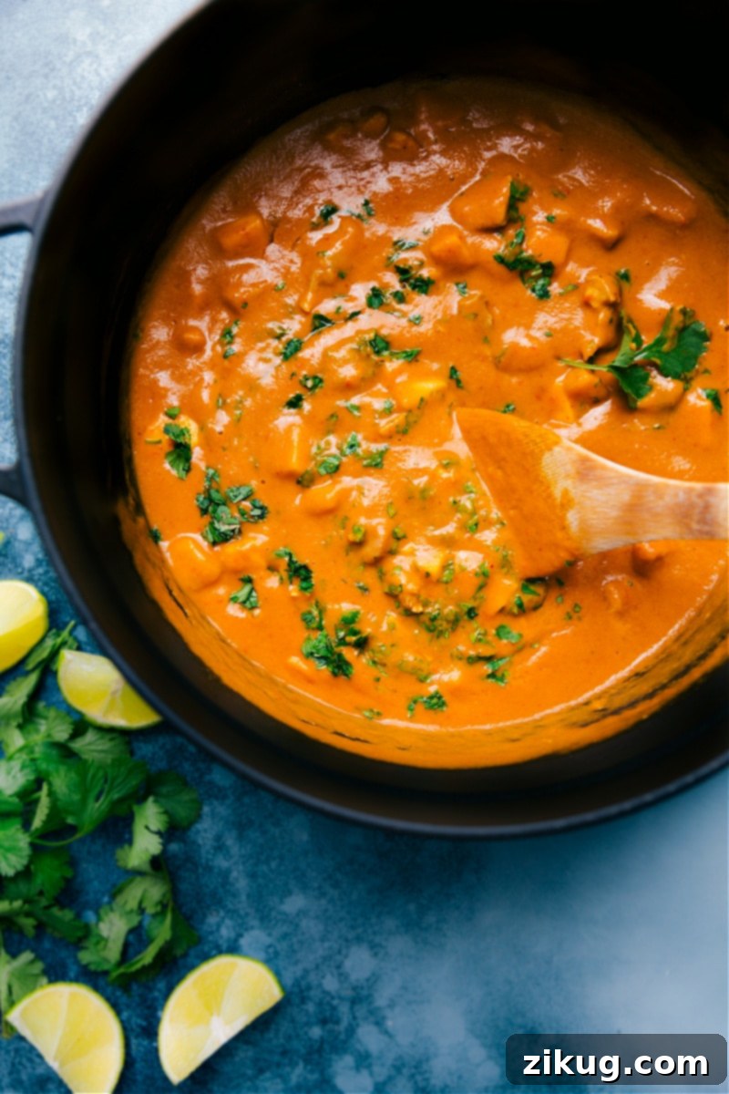 Tropical Mango Chicken Curry 2 Overhead image of a vibrant Mango Chicken Curry served in a bowl, garnished with fresh cilantro.