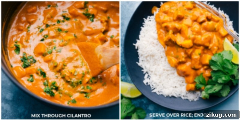 Tropical Mango Chicken Curry 7 A bowl of Mango Chicken Curry served over rice, with fresh cilantro being mixed in.