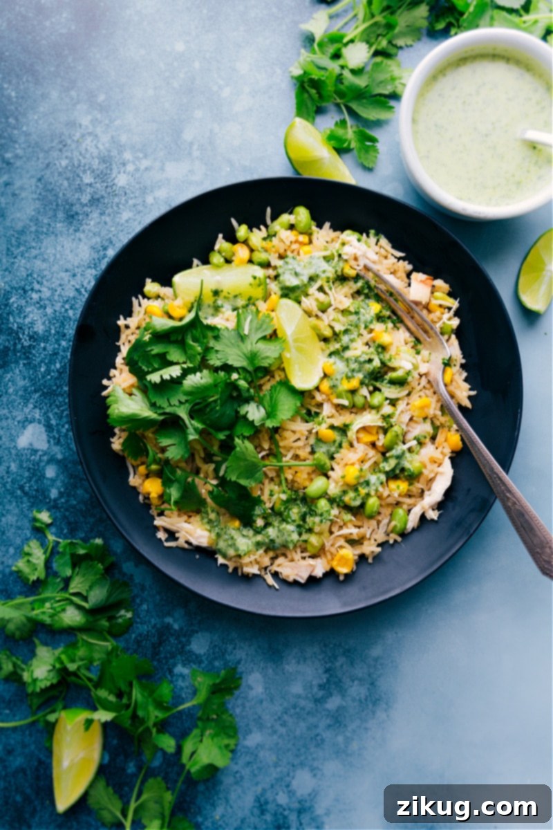 Plate of the Coconut Chicken and Rice served with a fork.