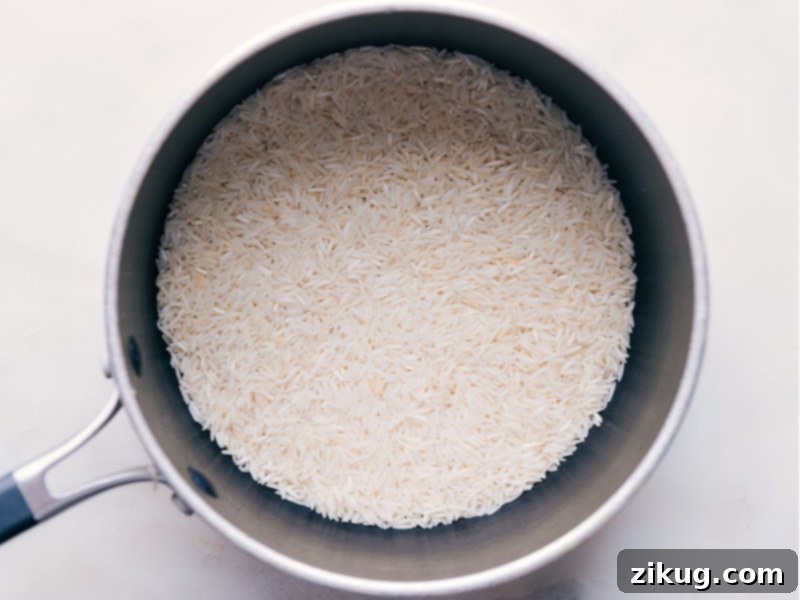 How To Make Coconut Rice A hand adding white Basmati rice to a medium-sized pot alongside other ingredients for cooking coconut rice. The pot is on a stovetop, ready for the cooking process.