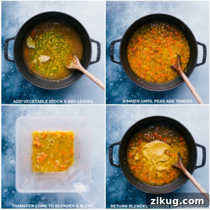 Process images showing vegetable stock being added, the soup simmering gently, and then a portion being blended to achieve a creamy texture.