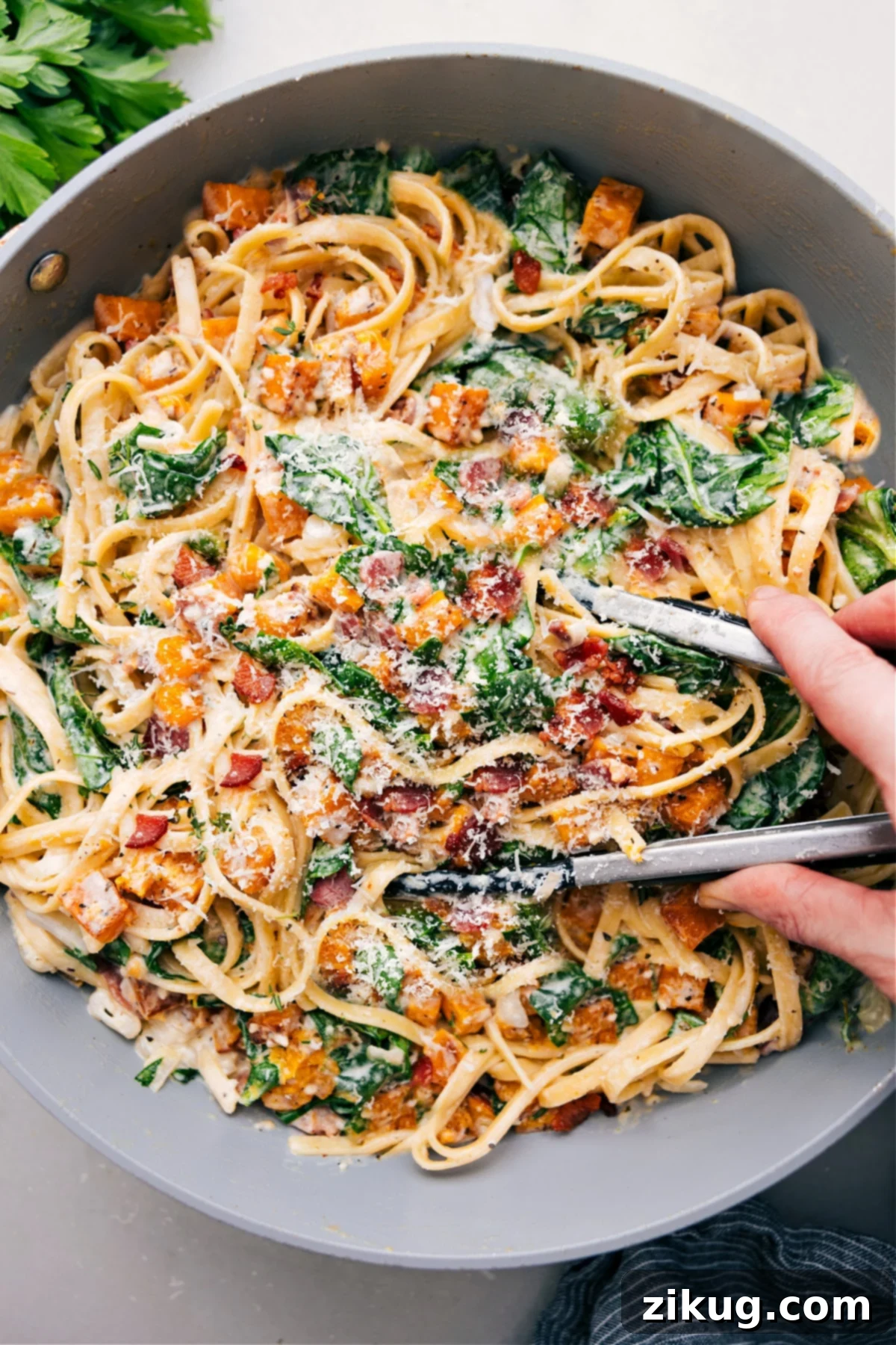 The Best Butternut Squash Pasta Recipe Butternut Squash Pasta, topped with Parmesan and served right from the pot!