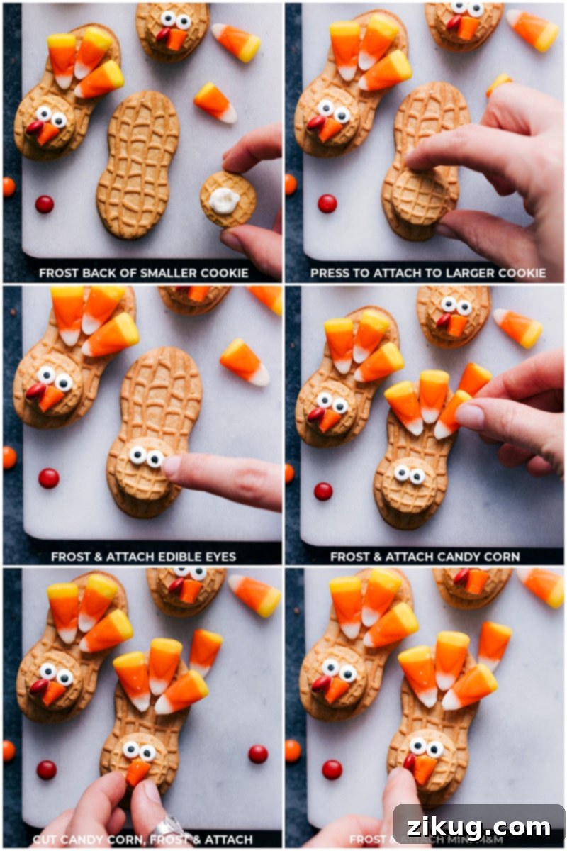 Step-By-Step Process Of Assembly Step-by-step shots of the Nutter Butter turkey cookie assembly: 1. Frost the back of a smaller cookie. 2. Press to attach to a larger cookie. 3. Frost and attach edible eyes. 4. Frost and attach candy corn tail feathers. 5. Cut candy corn for the beak, frost, and attach. 6. Frost and attach a mini M&M for the wattle.