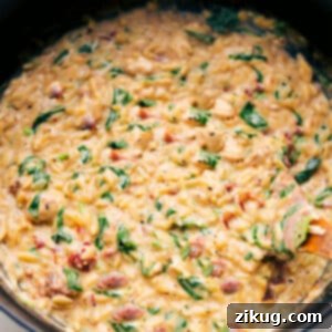 One-Pan Creamy Chicken Orzo 2 A top-down view of the finished One-Pot Chicken Orzo, served in a rustic bowl with a spoon, garnished with fresh herbs and grated Parmesan, highlighting its creamy texture.