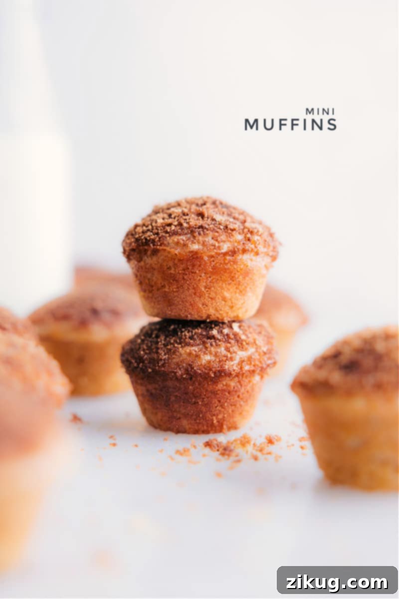 Two golden-brown mini muffins, perfectly stacked on a rustic countertop, inviting a delicious bite.