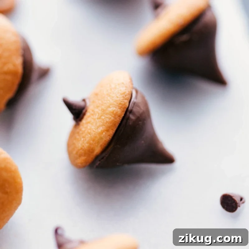 Festive Acorn Treats with Chocolate Kisses and Vanilla Wafers Festive acorns made with chocolate kisses and vanilla wafers.