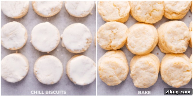 Process shots: chill biscuits and then bake to golden perfection.