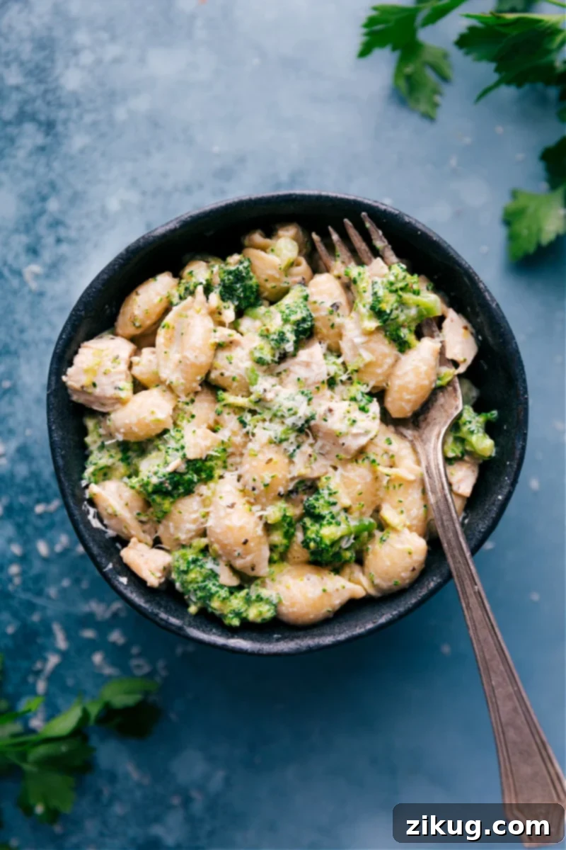 Delicious Chicken And Broccoli Pasta combines saucy pasta shells with tender broccoli and perfectly seasoned chicken in the quickest garlic-butter Alfredo sauce. Sprinkle on some Parmesan and prepare for a new pasta obsession! This easy weeknight dinner recipe is a family favorite. #dinner #quick #easy #simple #best #chicken #broccoli #pasta #alfredo #creamy Overhead image of the Chicken and Broccoli Pasta in a bowl, showcasing the creamy sauce, tender chicken, and vibrant broccoli