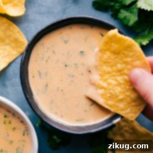A beautifully presented bowl of creamy Queso Dip, garnished with fresh cilantro, ready to be served with crispy tortilla chips. A perfect easy appetizer.