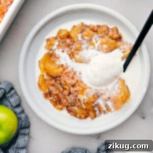 A delicious Apple Dump Cake with a scoop of ice cream on top.