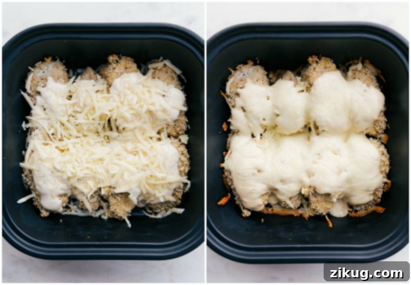 From Raw to Roasted: The Irresistible Transformation of Air Fryer Chicken with Melted Cheese A compelling side-by-side comparison: on the left, raw chicken pieces expertly coated in panko breading, poised for cooking; on the right, the same chicken transformed into a golden-brown, well-done masterpiece, glistening with melted cheese.