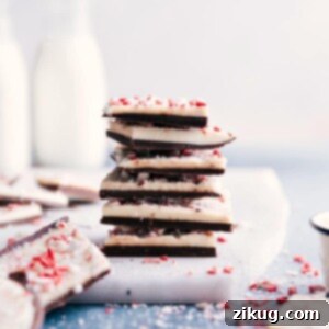 Irresistible Peppermint Bark Delight 2 A delicious piece of Peppermint Bark with three chocolate layers and crushed candy canes on top.