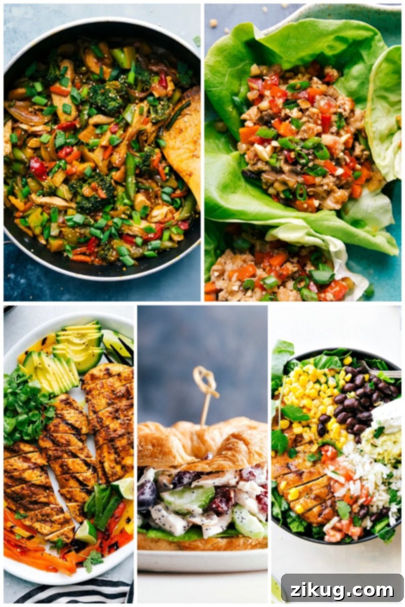 30 healthy dinner recipes! #dinner #quick #easy #simple #best #familyfriendly #kidfriendly #cleaneating #wholefood #healthy #dinner #recipes Images of 5 different healthy and appealing chicken dinner recipes.