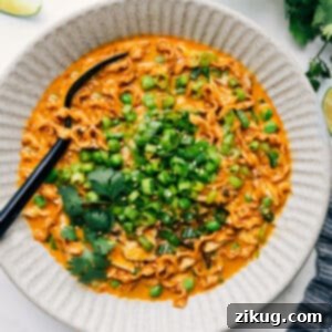 A bowl of delicious Curry Noodle Soup