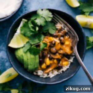 Close-up of Salsa Verde Chicken in a bowl with cilantro and lime