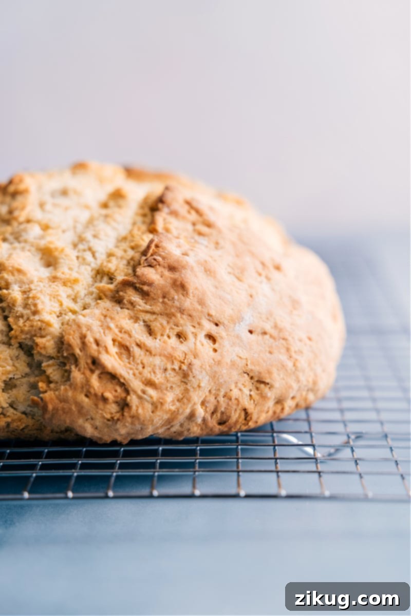 Image of the No-Yeast Bread, golden and crusty, fresh out of the oven and resting on a wire rack.