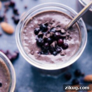 ChocoBerry Dream Smoothie 2 A delicious Chocolate Blueberry Smoothie in a glass with fresh blueberries.