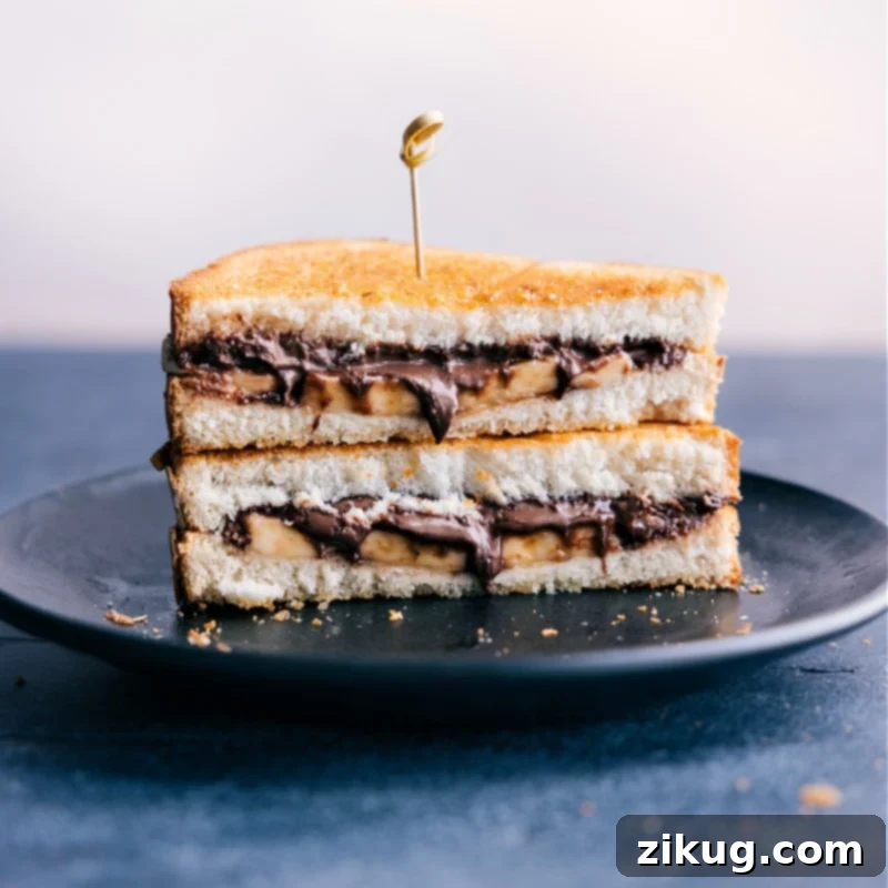 Experience the ultimate air-fried Peanut Butter and Nutella sandwich! Learn how to make this delightful air fryer sandwich recipe, one of four easy and quick variations perfect for any time of day. Close-up image of a decadent Peanut Butter and Nutella Air Fryer Sandwich, with a golden-brown, crispy crust and visible melted Nutella and soft banana slices oozing from the center, highlighting its irresistible appeal.