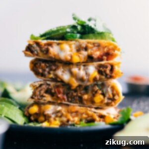 Craving-Worthy Ground Beef Quesadillas 2 Ground Beef Quesadillas