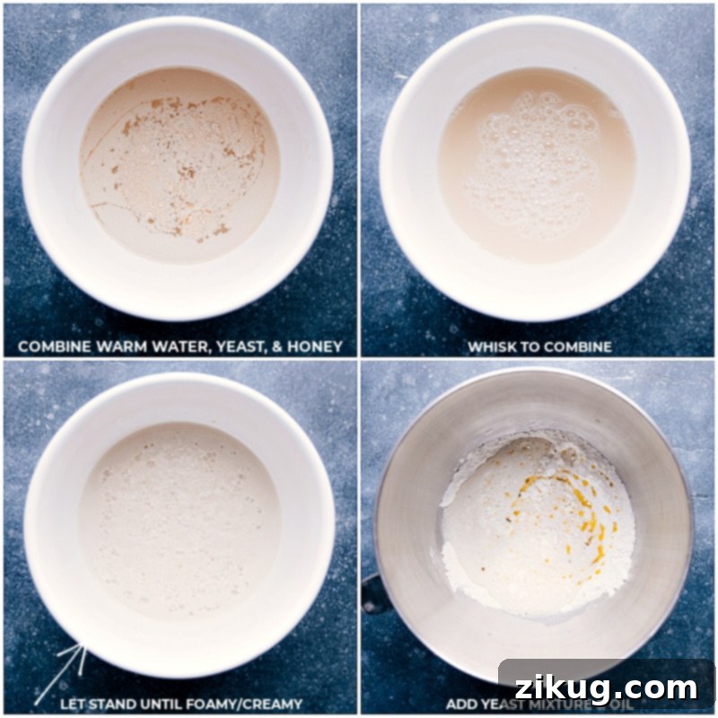 Key steps in French bread making: activating yeast, first rise, and incorporating olive oil Four process shots showing yeast mixture, dough rising, and oil being added to the mixture