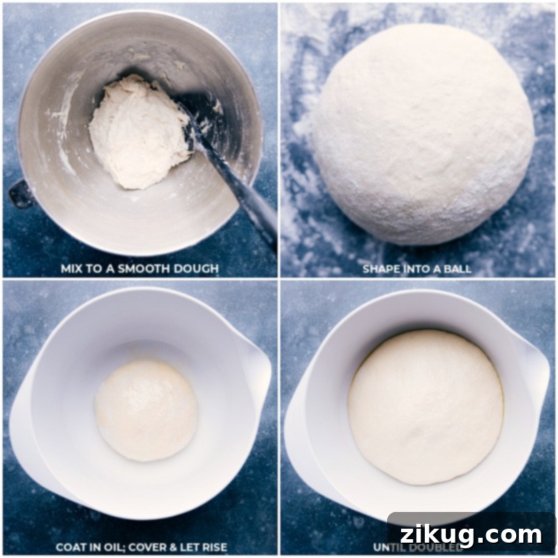 Dough being formed into a ball and placed in a bowl to rise Process shots showing dough being shaped into a ball and then placed in a greased bowl for its first rise