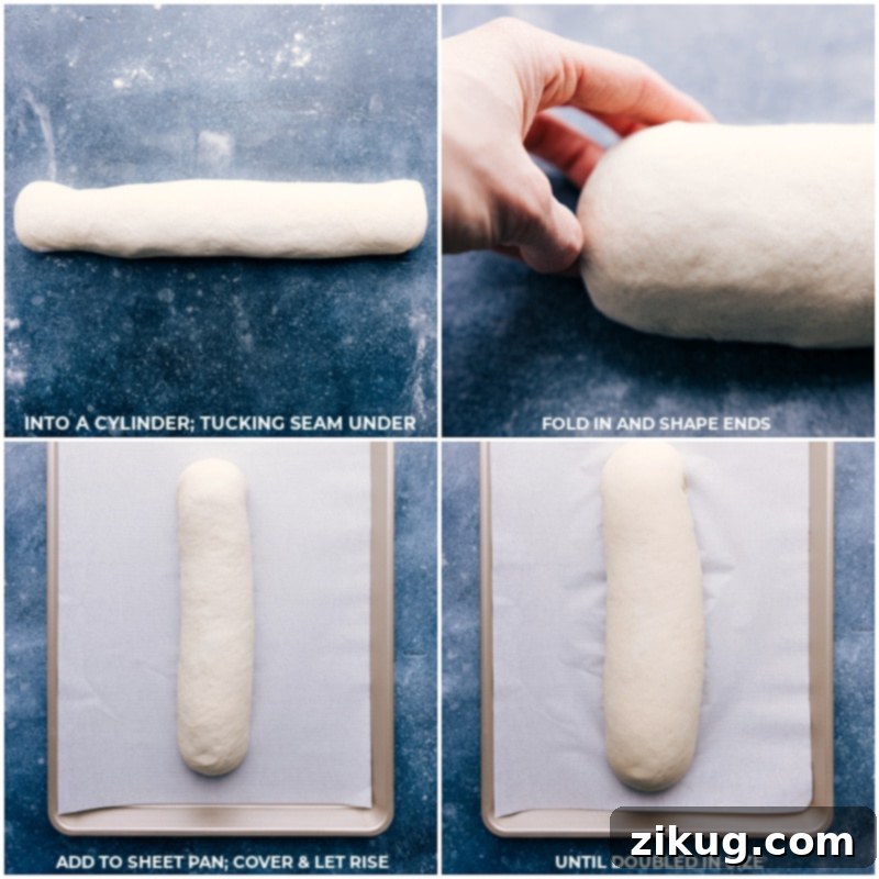 Proofing French bread dough on parchment paper on a baking sheet Process shot of French bread dough placed on parchment paper on a baking sheet, ready for the second rise