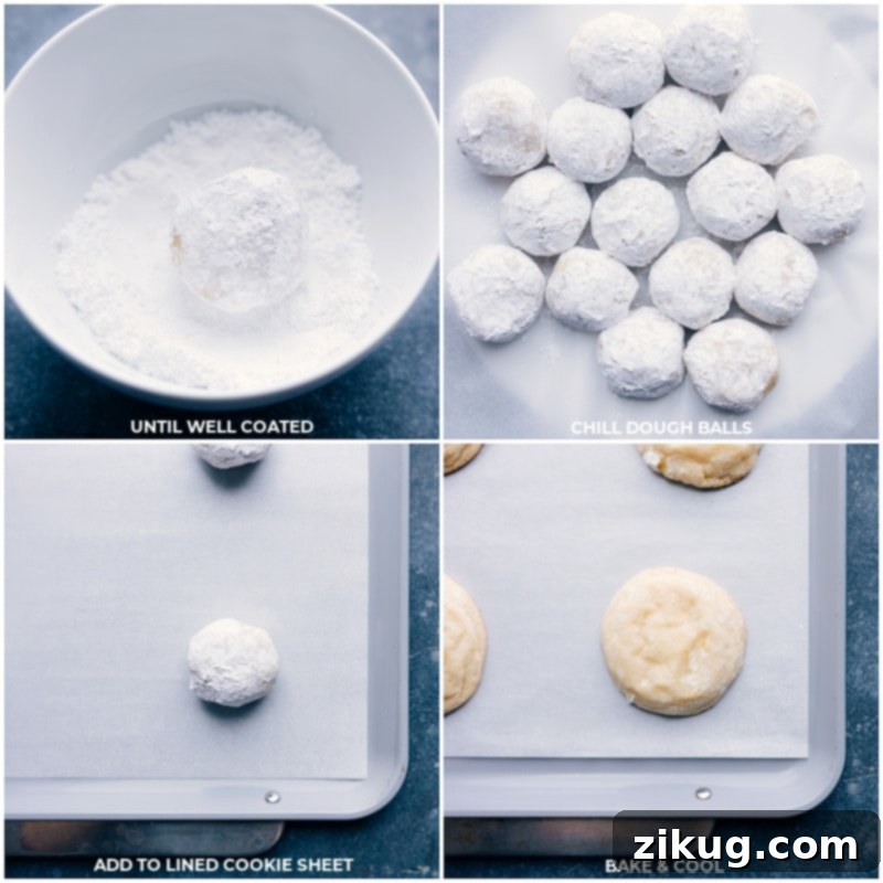 Coat Dough Balls Then Chill and Bake for Optimal Texture Process shots demonstrating dough balls being rolled in powdered sugar, then chilled, and finally baked to golden perfection.