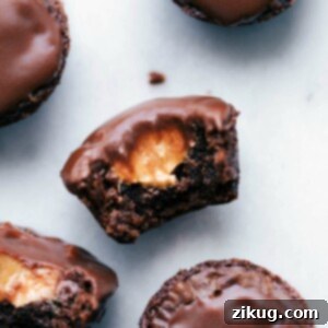 Peanut Butter Brownie Delights 2 Peanut butter brownie bites with a bite taken out, revealing a melting peanut butter center.