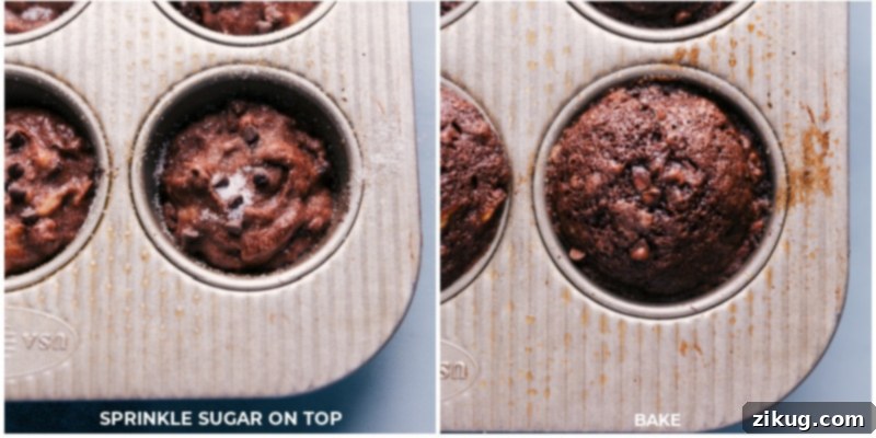 Baked Chocolate Banana Muffins Ready to Enjoy Freshly baked Chocolate Banana Muffins cooling on a wire rack after removal from the pan