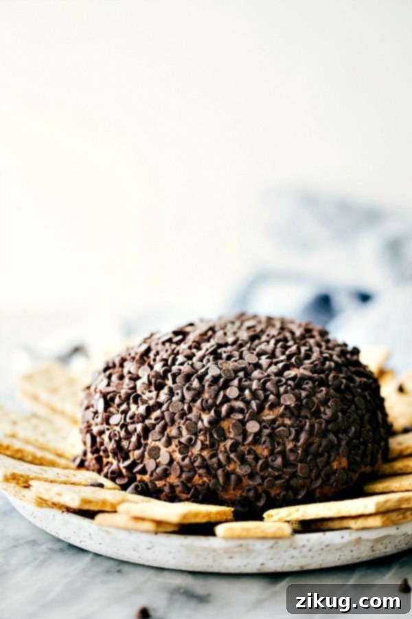 Delicious Cheesecake Ball with Chocolate Chips and Graham Crackers Delicious and gorgeous dessert cheesecake ball soft covered in chocolate chips with graham crackers on the side for dipping.
