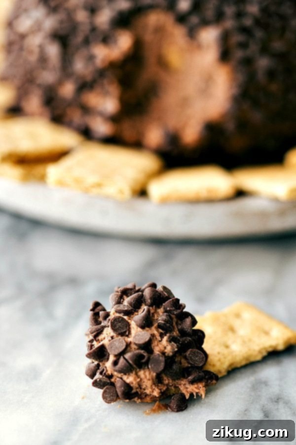 Graham Cracker with Sweet Batter and Chocolate Chips Chocolate chip-studded sweet batter on graham cracker.