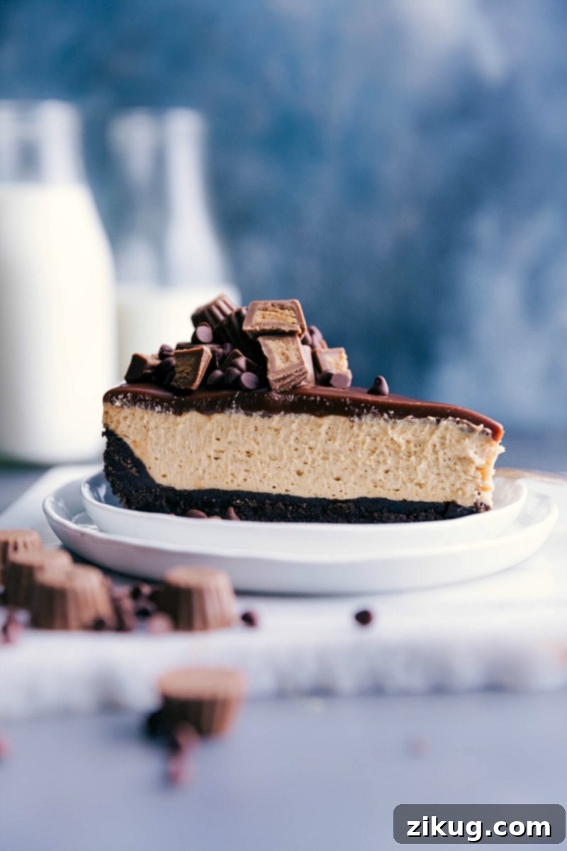 Delectable Slice of No-Bake Peanut Butter Cheesecake A perfectly sliced piece of the decadent no-bake peanut butter cheesecake, showcasing its creamy layers and Oreo crust.