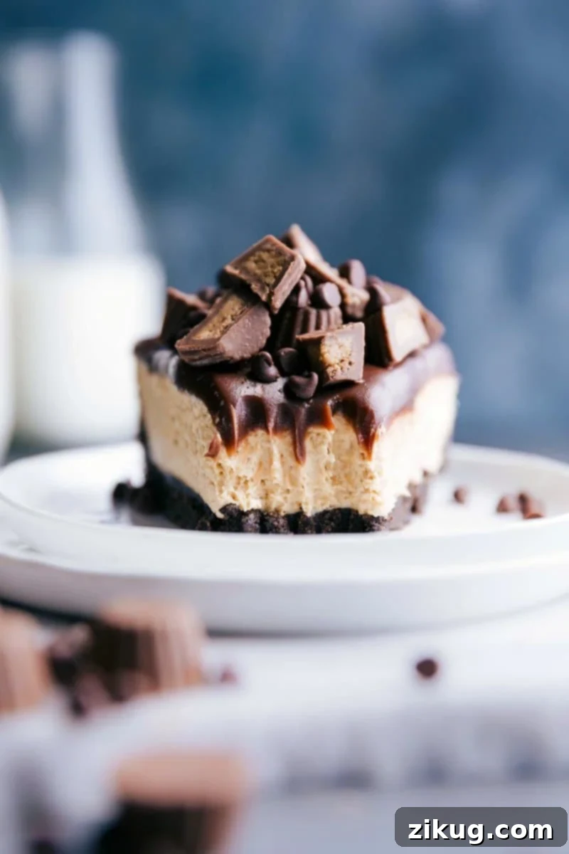 Sliced No-Bake Peanut Butter Cheesecake with Creamy Interior A close-up of a slice of no-bake peanut butter cheesecake with a bite taken out, perfectly revealing its soft, creamy interior and defined layers of crust, filling, and ganache.
